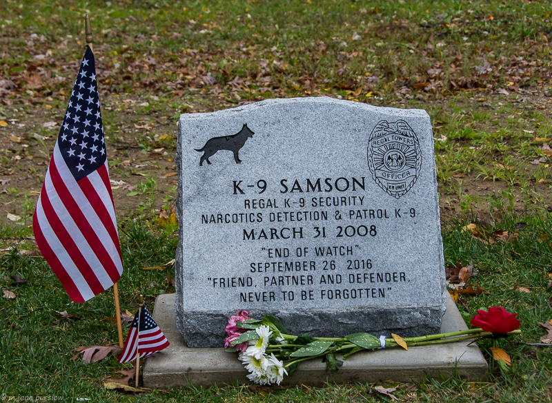 AMVETS MWDM Samson Burial fb 102916 (339a of 339).jpg